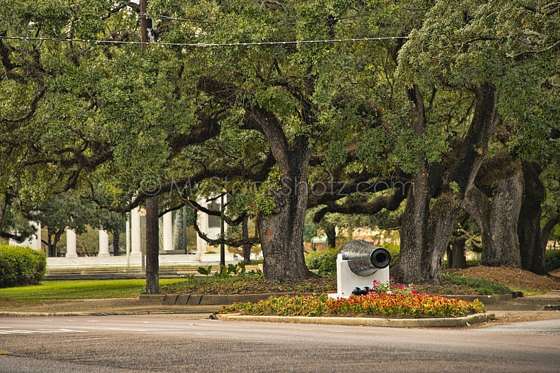 The Canon at the Loop