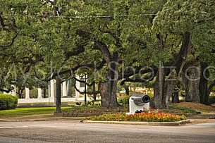 The Canon at the Loop