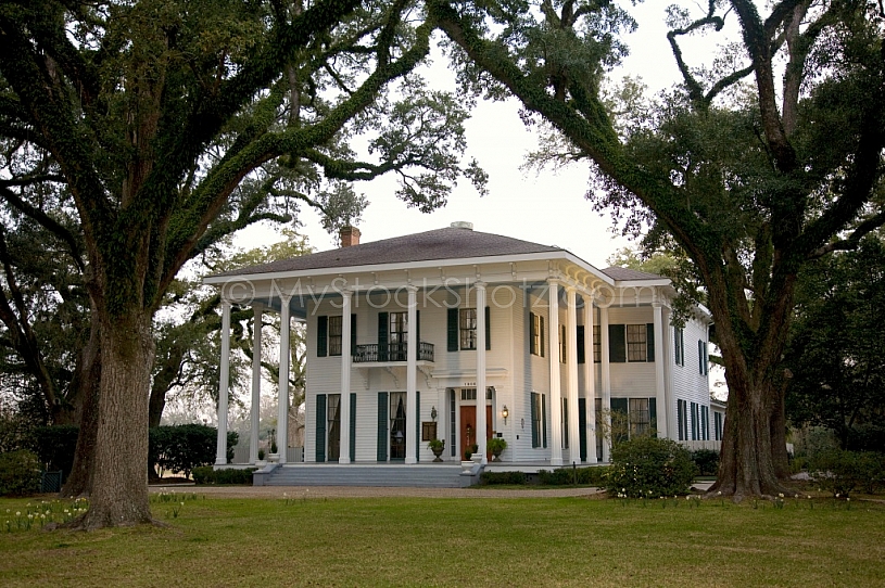 Bragg-Mitchell Mansion