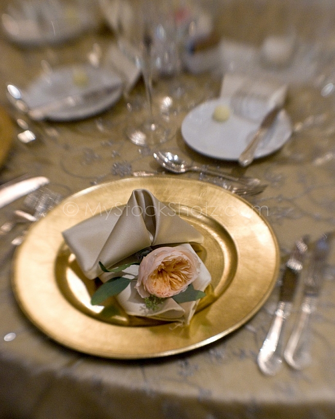 Battle House Wedding Reception