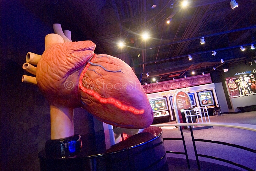 The Exploreum of Mobile