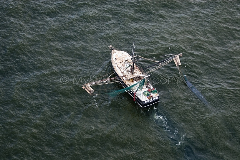 Shrimp Boat