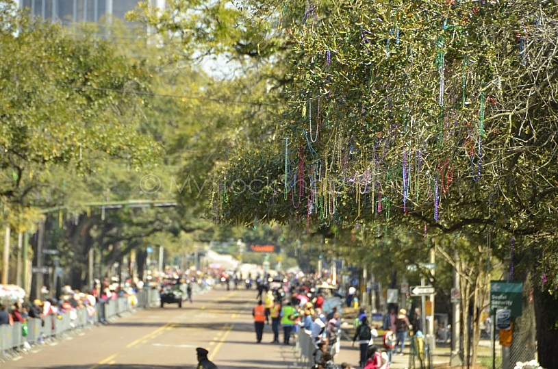 Floral Parade at Mardi Gras 2011