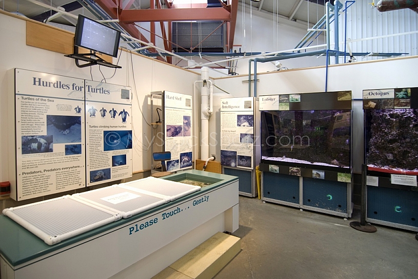 Sealab Exhibits