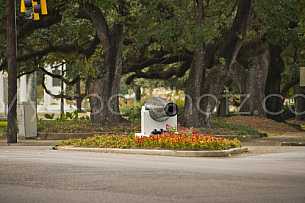 The Canon at the Loop