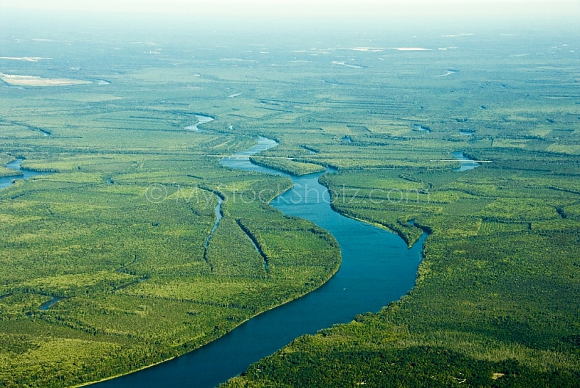 River Delta just north of Mobile